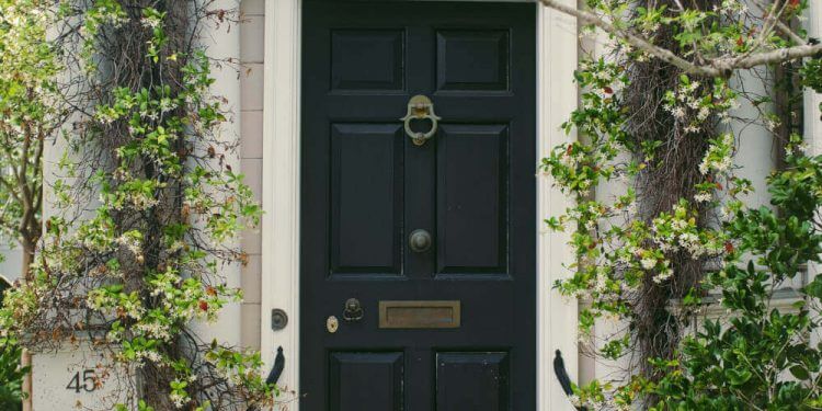 Черна входна врата със зеленина