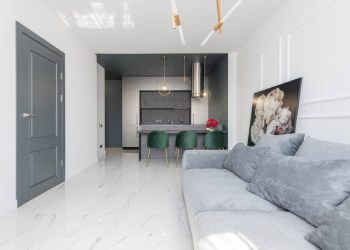 Сива врата, диван, картина