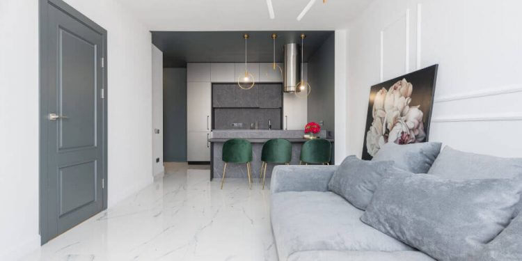 Сива врата, диван, картина